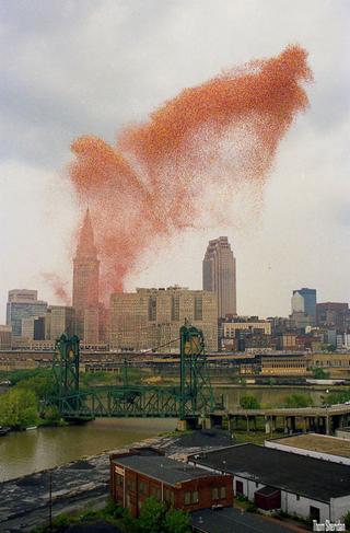 Illustration for article titled El día que Cleveland decidió que liberar 1,5 millones de globos a la vez era una buena idea y desató el caos